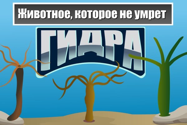 Кракен шоп даркнет