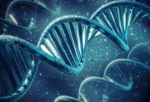 Photo of Генетика и рост: какова роль наследственности