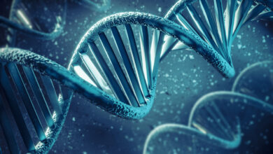 Photo of Генетика и рост: какова роль наследственности