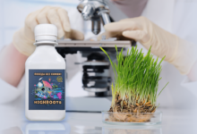 Photo of Какой образ жизни выбрать для максимального роста