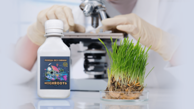 Photo of Какой образ жизни выбрать для максимального роста