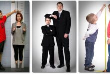 Photo of Рост взрослого человека: какие правила следовать