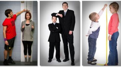 Photo of Рост взрослого человека: какие правила следовать