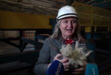 Photo of Как повысить производительность труда?