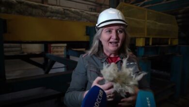 Photo of Как повысить производительность труда?