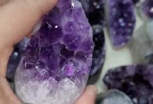 Photo of итамины и минералы для роста: что нужно употреблять