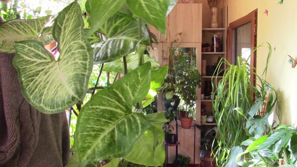 Фото 25 — редные привычки, которые могут замедлить рост